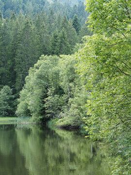 Bayerische Landschaft. Suttensee romantischer und mystischer Ort am Ende des Tals der Tergernsee und Rottach richtung Enterrottach und Valepp