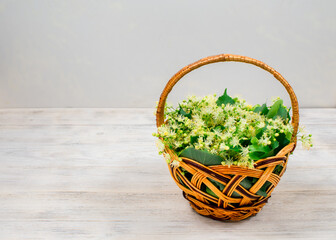 Fototapeta na wymiar Wicker basket with linden flowers on a wooden background. Linden flowers. Place for an inscription. Side view.