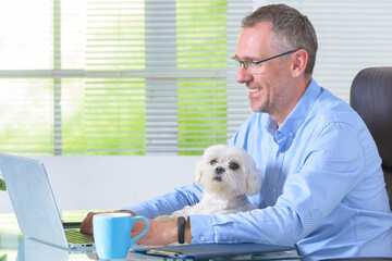 Working with dog at home