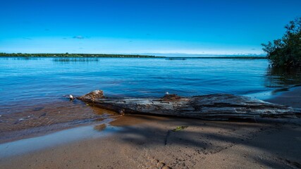 View from the river bank to the water surface with the trunk of an old tree in the foreground. Clear blue sky.
