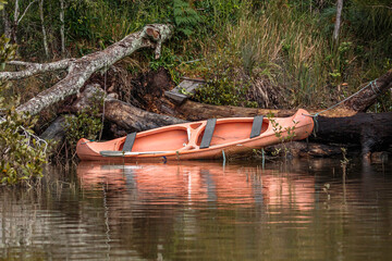 Orange canoe tied to a tree, Tomaga River, NSW, June 2021