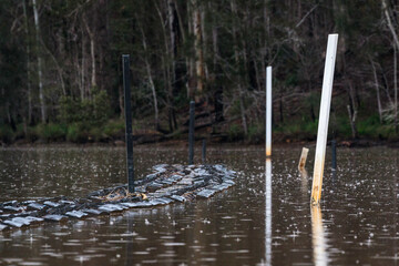 Oyster farm in the rain, Tomaga River, NSW, June 2021
