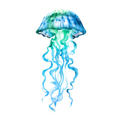 Blue Ocean Water Jellyfish, isolated, hand drawn watercolor illustration on white background - 442113157