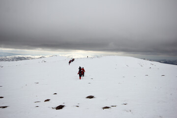 Group of mountaineers walking trough the mountains covered with snow...
