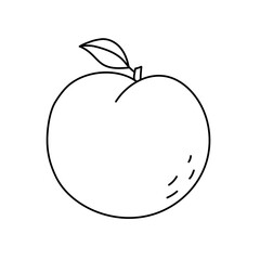 Peach. Fruit sketch. Black line icon. Vector illustration for coloring book
