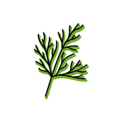 Dill herbs. Vegetable sketch. Color simple icon. Hand drawn vector doodle illustration