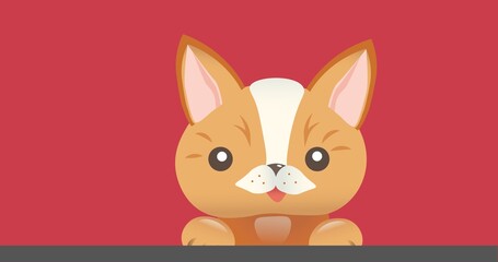 Composition of cute cat over red background