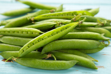Green pea background on blue. Pea pods from farmland. Pea freshly picked. Organic fresh vegetables. Healthy eating.