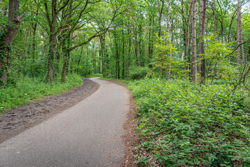 Winding cycling and walking path through a wooded part of the Dutch National Park De Loonse en Drunense Duinen near the village of Drunen, North Brabant. The photo was taken at the beginning of summer