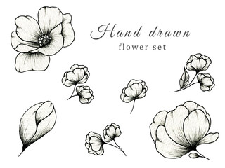 Hand drawn vintage set of flowers isolated on white, botanic illustration of monochrome floral collection, beautiful black floral sketch element great for floral designs and blossom decorations