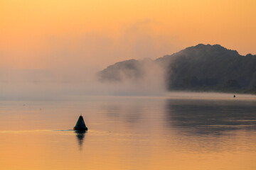 Bank of the Neman River at sunrise in fog