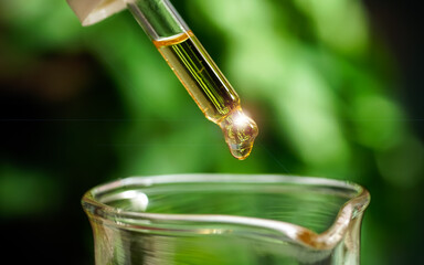 CBD Hemp oil, Hand holding droplet of Cannabis oil against blurry beaker background. Alternative...
