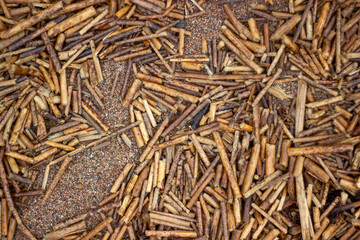 close up of cane texture