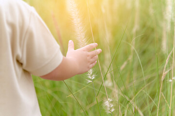 Close up child hand touching meadow field with flowers grass - Powered by Adobe