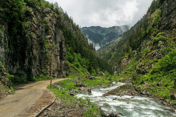 Fototapeta na wymiar Spring mountain valley and rapid river