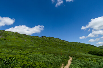 Obraz premium Bieszczady w lecie 