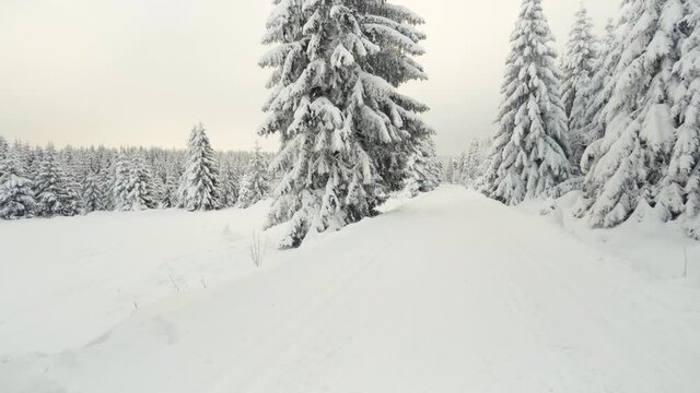 A cross-country skiing trail in a snow-covered winter landscape with trees