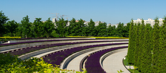 Semicircular terraces with trimmed golden Ninebark shrub and purple sage go down to rows of Thuja...