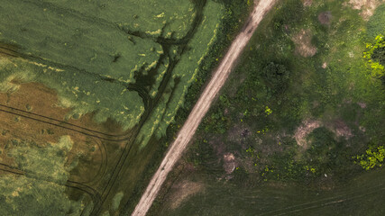 Lodged cereals after storm and hail. Ripening rye. Has suffered from bad weather. Aerial photography