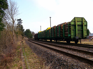 Fototapeta premium Holztransport mit der Eisenbahn auf der Schiene 