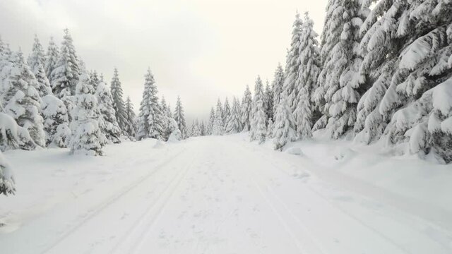 POV - a person walks through a snow-covered winter landscape