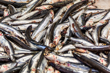A Stack of fresh-caught sardines on the Rialto Fish Market in the City Center of Venice, Italy