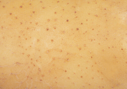 Potato texture pattern. Macro shot potato texture background. Fresh potato skin surface
