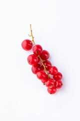 Red currant berries on White Background