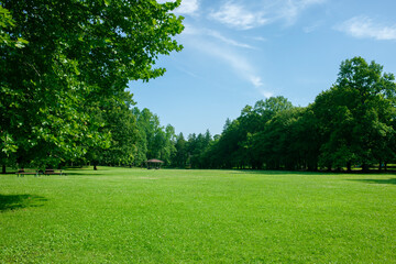 sunny park