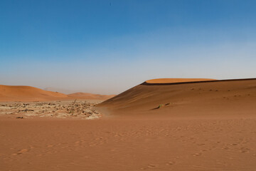 Fototapeta na wymiar Death valley, Sossusvlei, Namib desert, Namibia