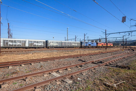 Train Locomotives Transporting New Car Vehicles in Cargo Carriers on Rail Track Networks