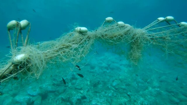Fishing Net Underwater Video Footage – Browse 1,628 HD Stock Video and  Footage
