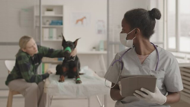 Waist-up POV of female African veterinarian wearing gloves and face mask, holding tablet computer, standing in her office with dog and owner in, then taking face mask off and smiling on camera