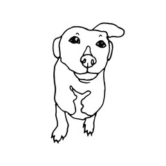 Doodle the dog sitting.Pen line art.