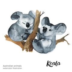 Australian animals watercolor illustration hand drawn wildlife isolated on a white background.