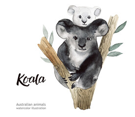 Australian animals watercolor illustration hand drawn wildlife isolated on a white background.