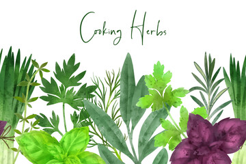 Seamless border composed of fresh vegetables and herbs