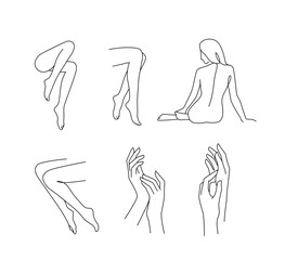 Woman body legs and arms. Line art vector