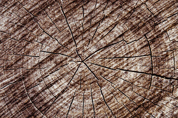 Vintage aged dark brown wooden background texture close up.