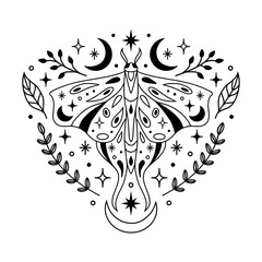 Vector abstract magic illustration with celestial moth, moon, stars and flowers isolated on white background. Boho trendy esoteric butterfly symbol for poster print, fashion, fabric, textile, paper