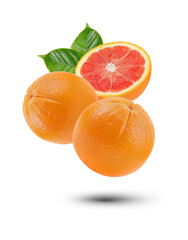 Orange fruits on white background