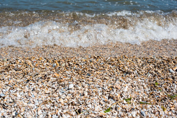 waves on the sea beach