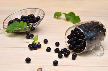 still life with currants scattered from a cup on a light background