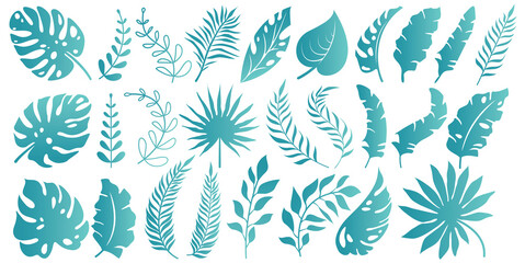 Collection of turquoise monstera leaves, fern leaf, fan palm, banana leaves. Nature leaves collection. Set of Tropical leaves, Vector illustration.