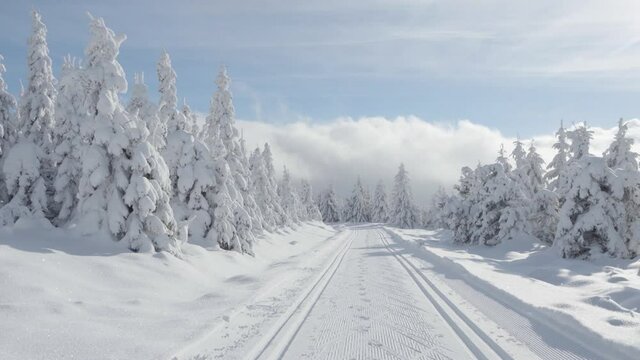 A cross-country skiing trail in a snow-covered winter landscape with trees