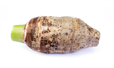taro isolated on white background