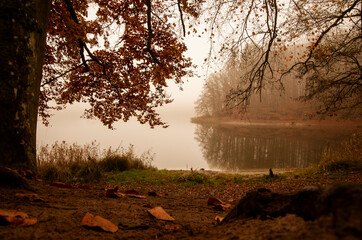 Jesienny krajobraz, jezioro w środku kolorowego lasu. 