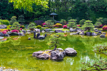 Beautiful lake in a japanese garden