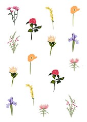 Set of different spring Summer flowers. Botanical background pattern. Good illustration for posters, postcards, invitations. Simple cartoon style icons