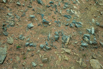 The road is made of stones and needles. Brown ground, nobody